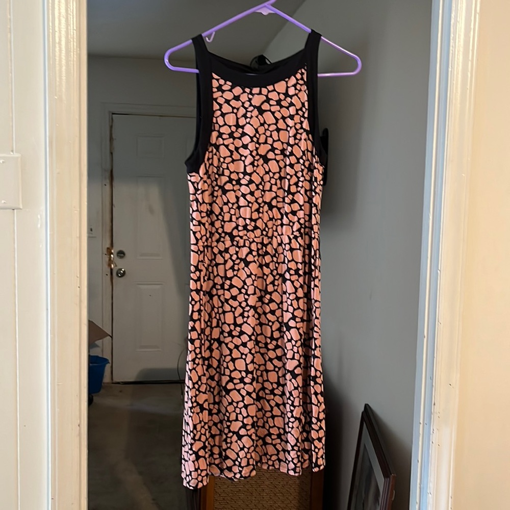 Anne Taylor Loft Dress